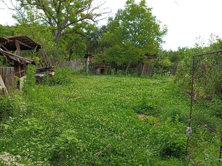 Casă cu 3 camere în Păcioiu