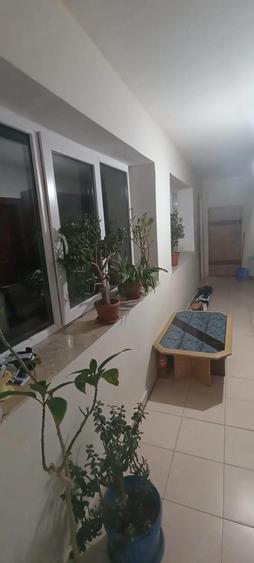 Casa de vanzare Ceica Nr.358 - 2