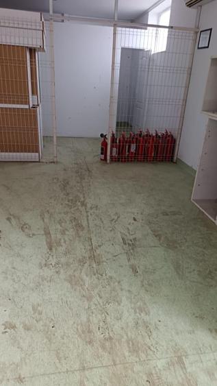 Depozit. Pozitionare avantajoassa. Pret de criza... - 13