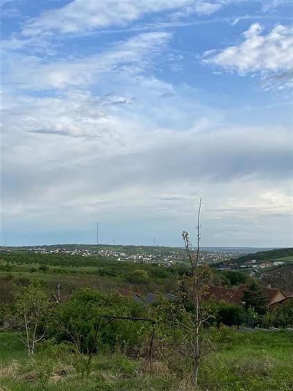 RECO Teren intravilan in  Saldabagiu de munte 985mp - 3