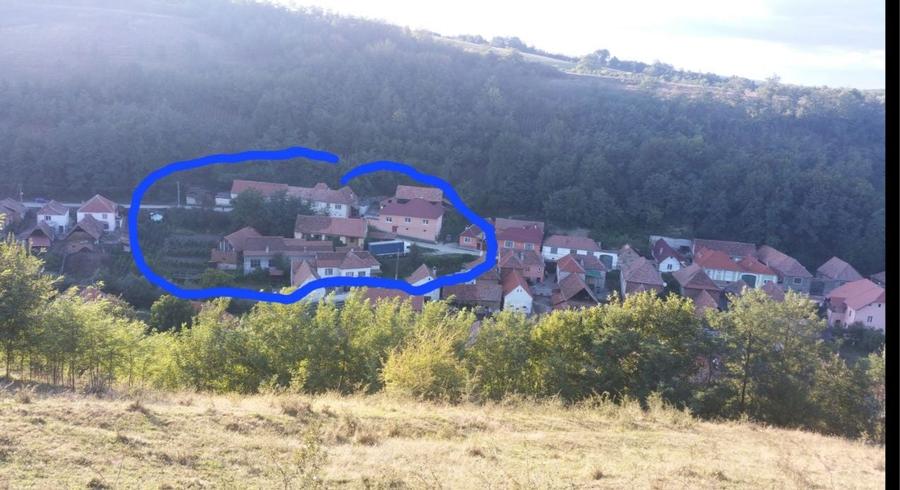 Casa individuala de vanzare curte si gradina suprafata 1500mp - 4