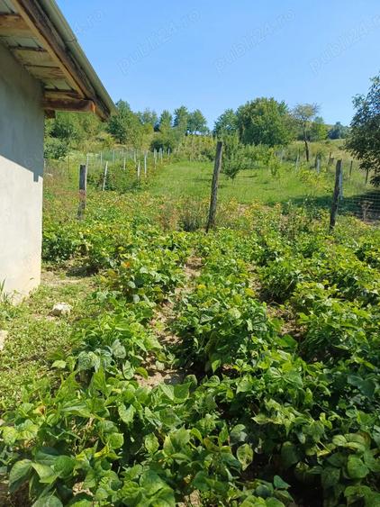 Vand casa cu teren - 4