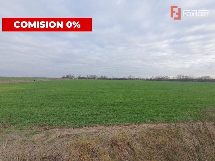 COMISION 0% Teren intravilan industrial 28.395 mp la sosea in Sag - 4