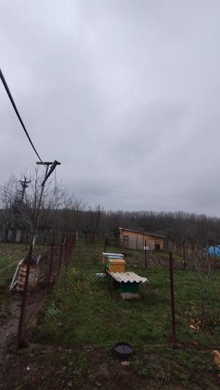 Casa cu gospodarie - 7