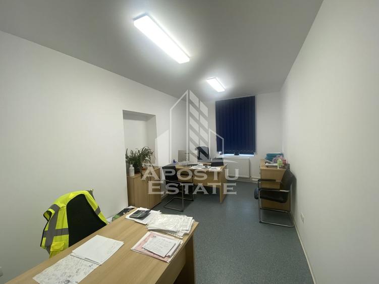 Casa în Dumbrăvița cu teren de 3039 mp și Front Stradal de 40 ml - 9