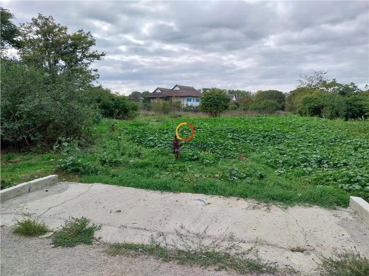 teren 1950mp cu casa batraneasca 45 mp - 4