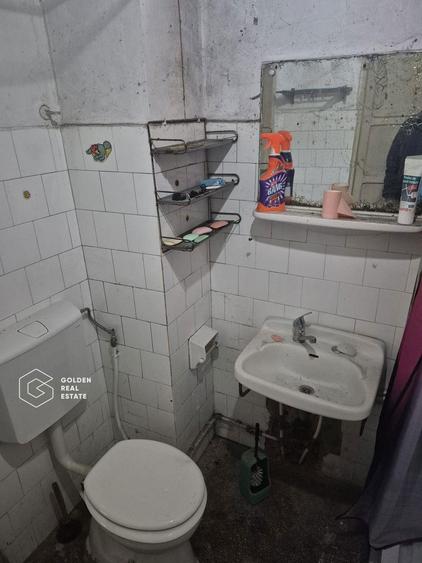 Casa cu 2 corpuri de cladire, Aradul Nou - 9