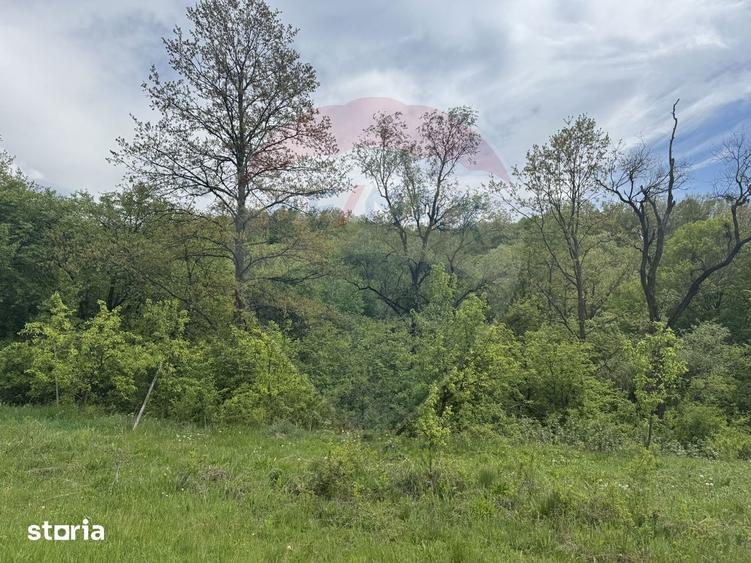 Proprietate OFF-GRID 5,76 Ha. Casa tradi?ionala lemn. Limita Cluj - 11