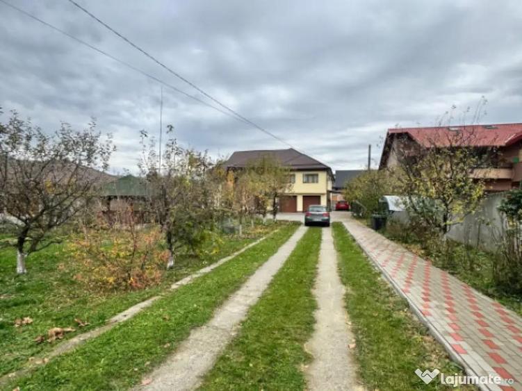 CASA DE VIS SAU AFACERE DE SUCCES BAIA SPRIE - 5