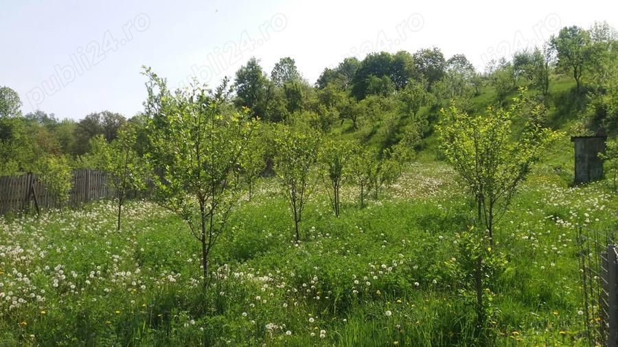 Casa la ?ara cu livada, Mo?teni Greci, comuna Botesti, jud. Arge? - 1