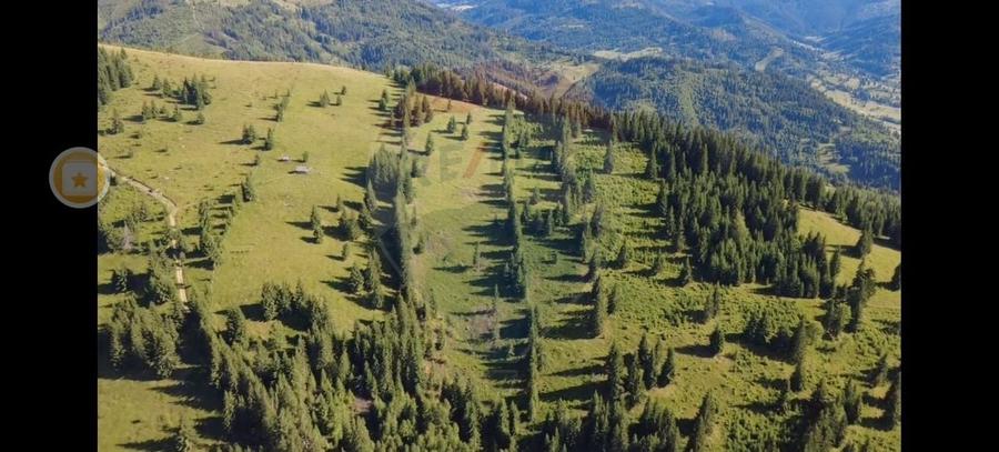 Teren 47,732mp Panaci / Strada MIhailet - 3