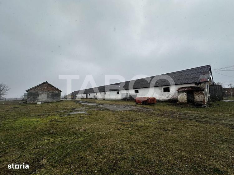 Teren de vanzare 8380 mp cu anexa de 1538 mp in Mohu - 2