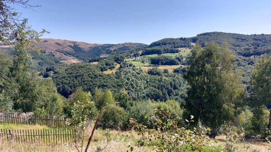 Teren extravilan investiție Rachitele Cluj - 31.555 mp - 5