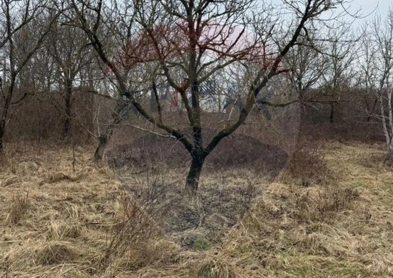 DE VANZARE Teren Strada Victoriei Baia Mare - 14