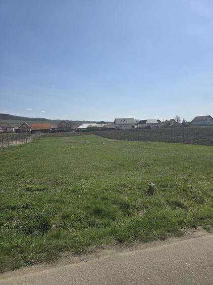 teren intravilan tibeni - 4