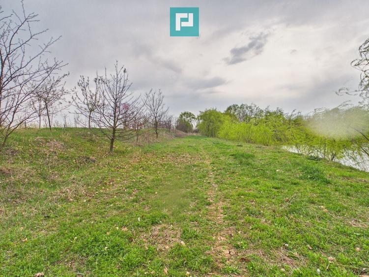 Teren 1 ha cu baltă populată – Alioș (Mașloc) - 5