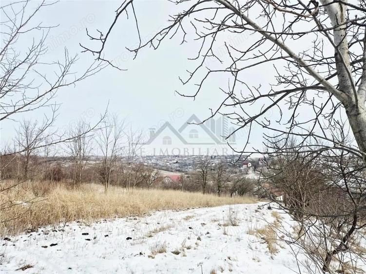 Teren intravilan de vanzare la 11 km de Palatul Culturii Iasi - 2