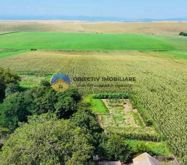 Teren de vanzare 9126 mp- comuna Stefan cel Mare - 5