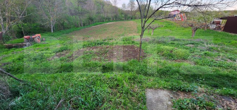 Teren 6650 mp, cu casa nefinalizata de 111 mp, in Nisipoasa. - 2