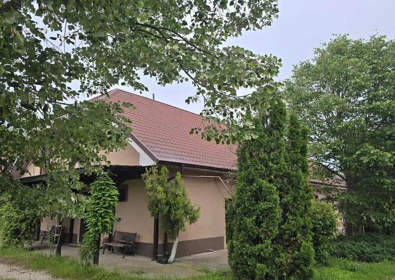 Proprietate Beharca teren 38464mp - 3