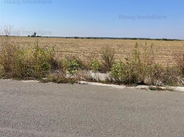 Teren de vanzare Corbeanca - 1