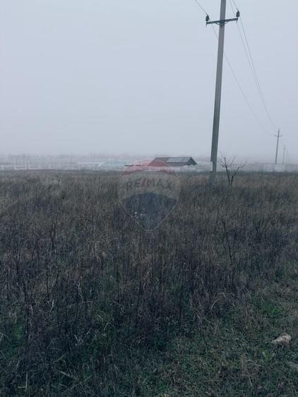 Teren 5,000mp Caracal, parcelabil, zona in dezvoltare - 6