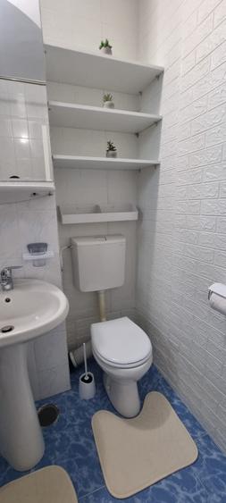 INCHIRIERE-ETAJ 1 LA VILA-COPOU AGRONOMIEI - 9