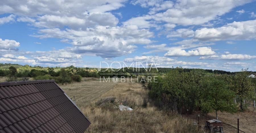 Casa D+P+M ?i teren 4334 mp - Runcu, Sat Rachi?i - 7