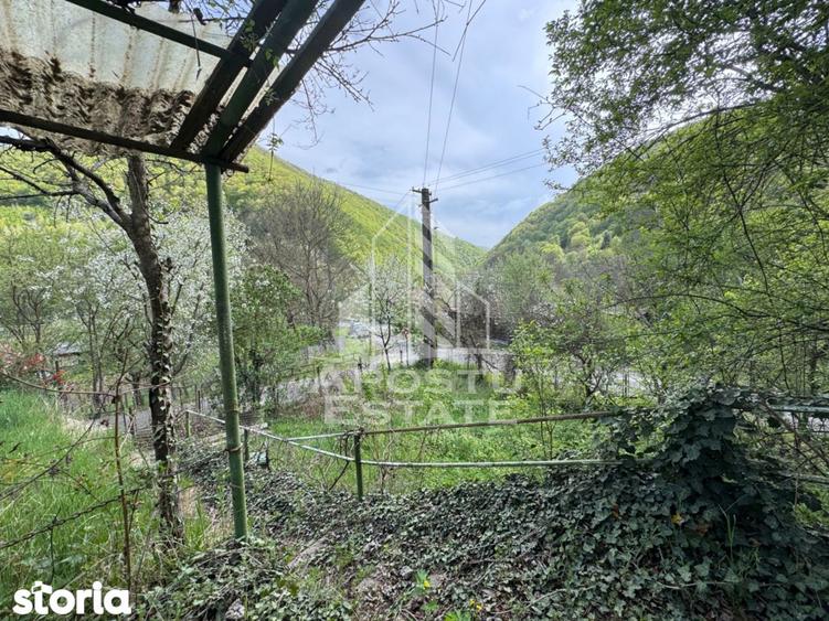 Casa batraneasca cu 2 camere, vedere panoramica, in Toplita, Hunedoara - 3