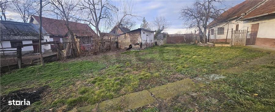 RECO. Teren intravilan de vanzare in Cetariu - 4