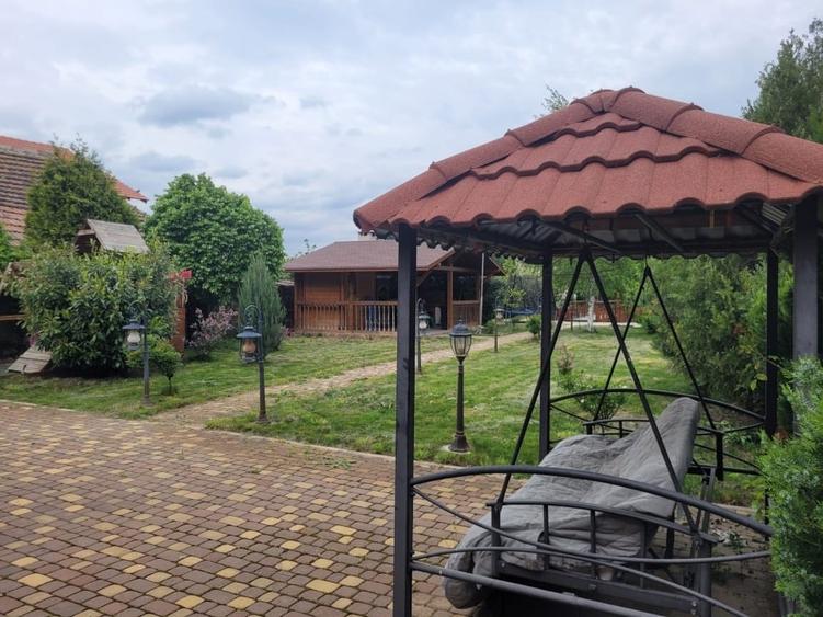 Oază de liniște cu "parc" privat în vatra satului - 12