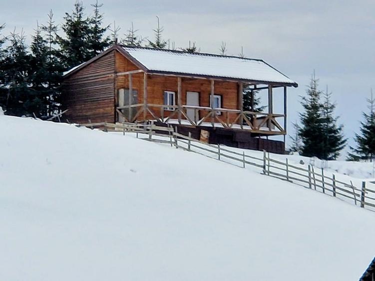 Cabană montană cu panoramă Bucegi & Piatra Craiului – Fundata - 1