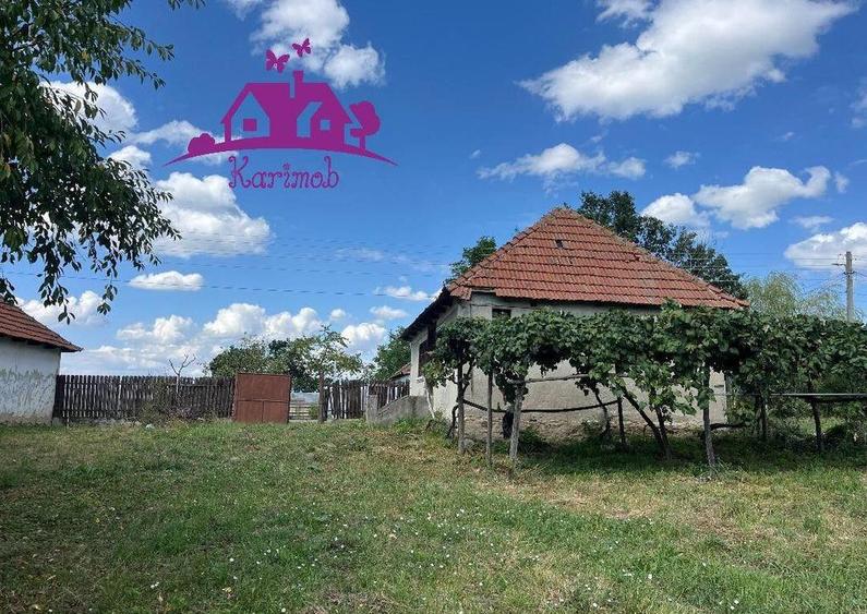 Casa in localitatea Carandeni - 3