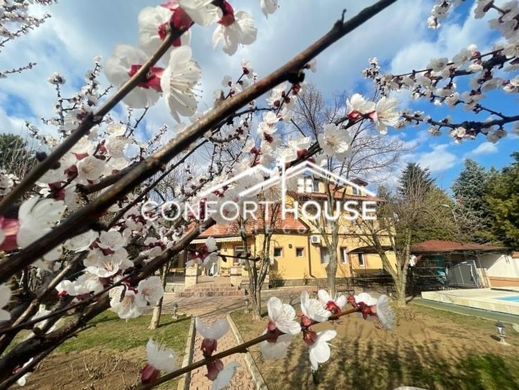 Vila individuala , piscina, garaj, teren 1453mp, IANCU NICOLAE - 2