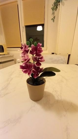 apartament 2 camere Bd Timisoara intre AFI si PLAZA - 12