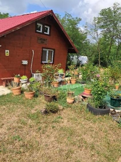 Casa si teren 2000 mp - 8