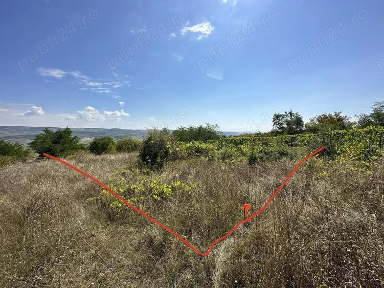 Teren 400MP Zona Cartier, Fosta vie, acces din str Dimitrie Cantemir - 4