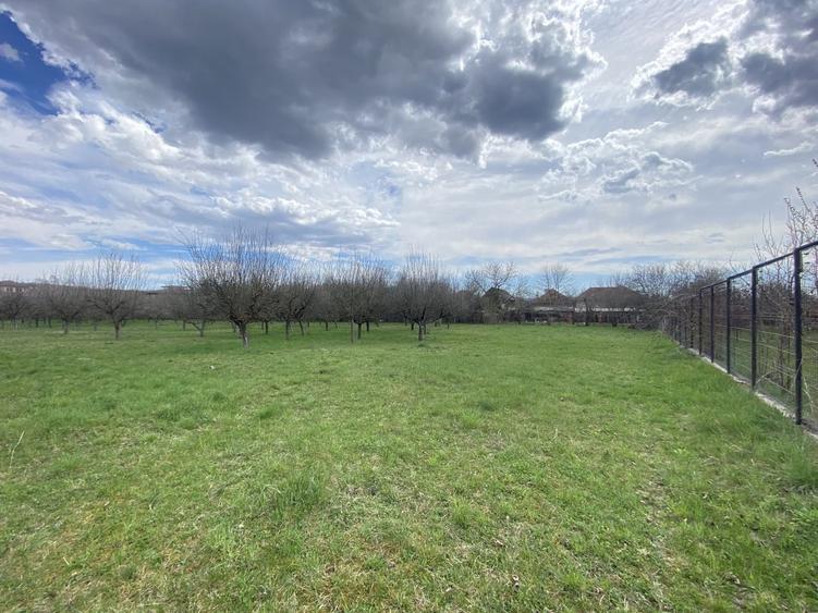 Berevoesti, Arges - 19