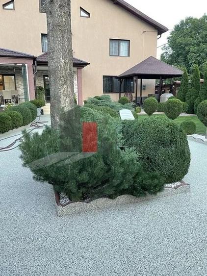 Vilă de lux de închiriat – ideală pentru afaceri - 4