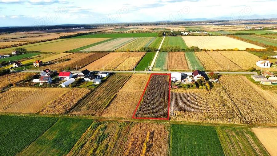 Teren intravilan de vanzare 3000 mp, Botiz, str. Sirul Mare, la doar 7 km de centrul Satu Mare - 5