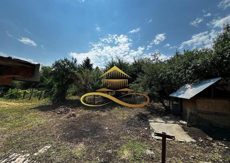 Casa batraneasca cu 1008 mp teren de vanzare in Sarata / ... - 11