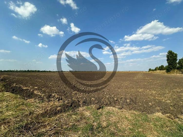 Teren extravilan de vanzare | 9882mp | Berceni - Prahova | Comision 0% - 4