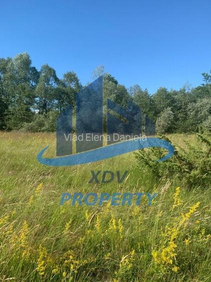 Teren in zona turistica Porumbacu de Sus