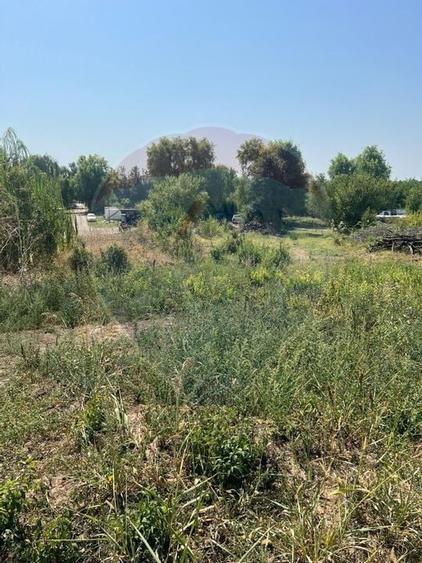 Teren de vanzare / 2,500 mp pe Malul Lacului Tancabesti /Ilfov - 3