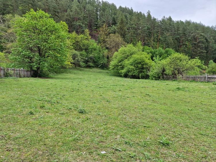 Teren intravilan 2936 mp. Bistrița jud Neamt - 5