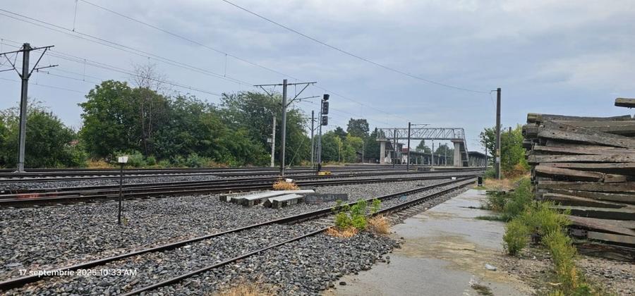 Proprietate multifunctionala cu hale si teren intravilan, Lehliu Gara - 2