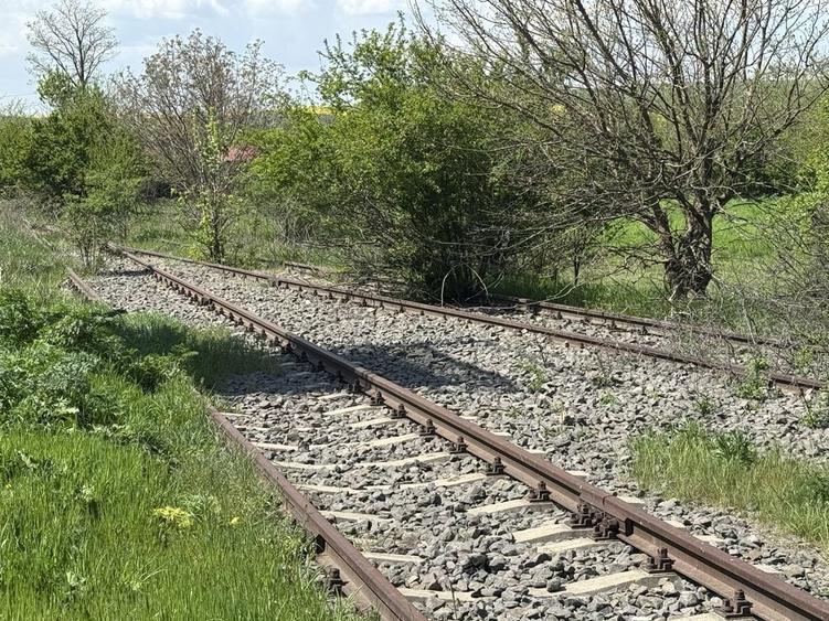 Ferma-Baza- depozit cereale- de vanzare- Barlad- Banca - Vaslui - 4