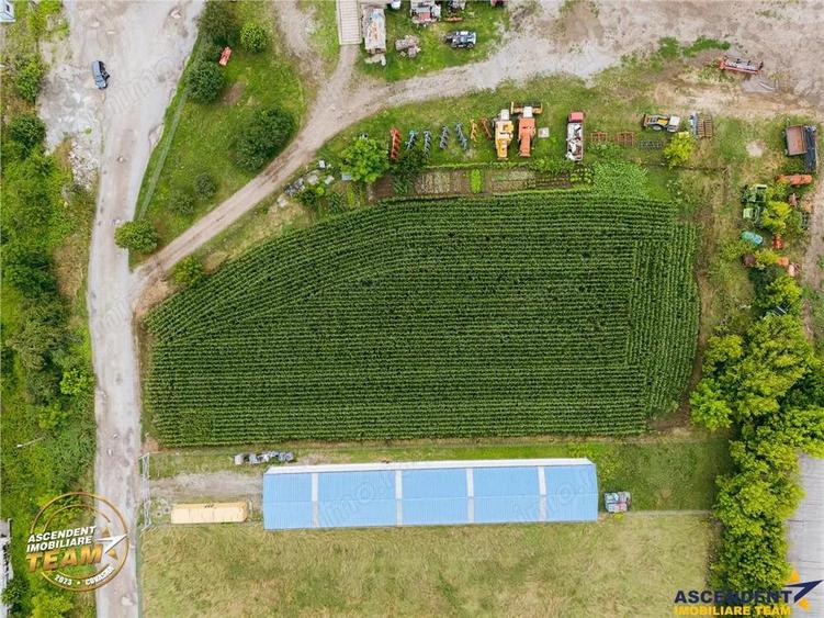 FILM! 4.600mp,aria industriala,utilitati aproape:hala,depozit,service auto - 10