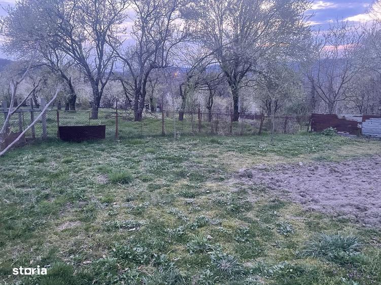 Teren Resita Extravilan Stema 24 Ianuarie Pret Negociabil - 7