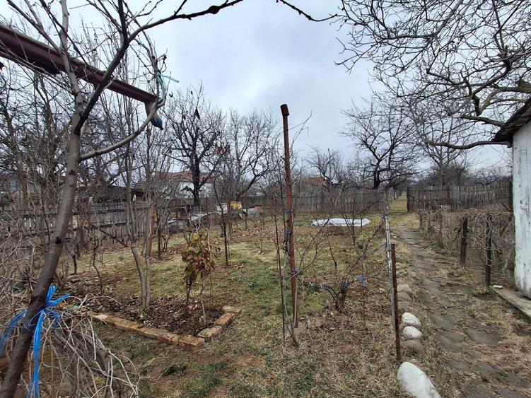 Vila P+1  Ploiesti - Paulestii Noi - 50